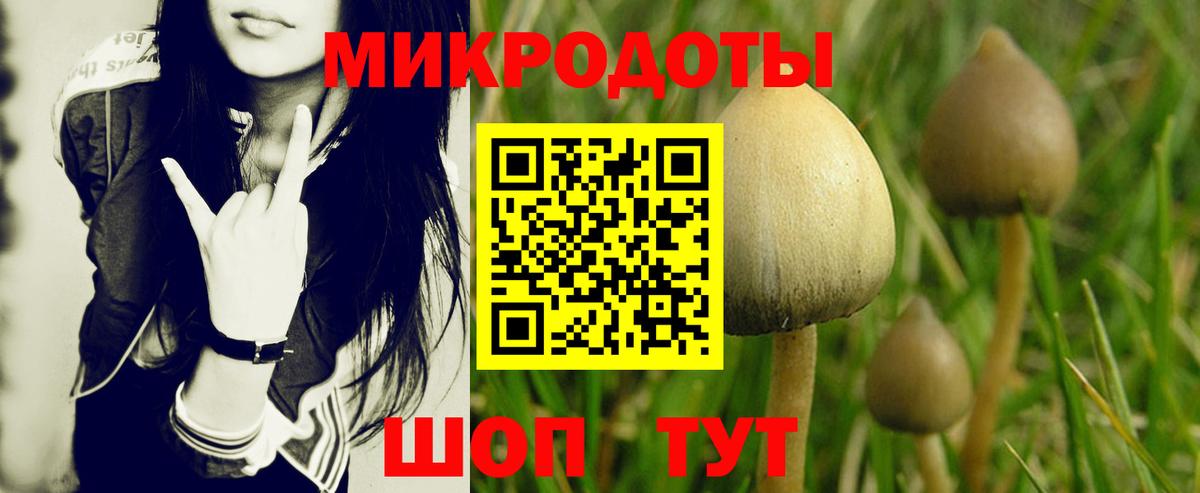 наркошоп  Псилоцибиновые грибы GOLDEN TEACHER  Вход с VPN  Осинники  Галлюциногенные грибы мицелий 