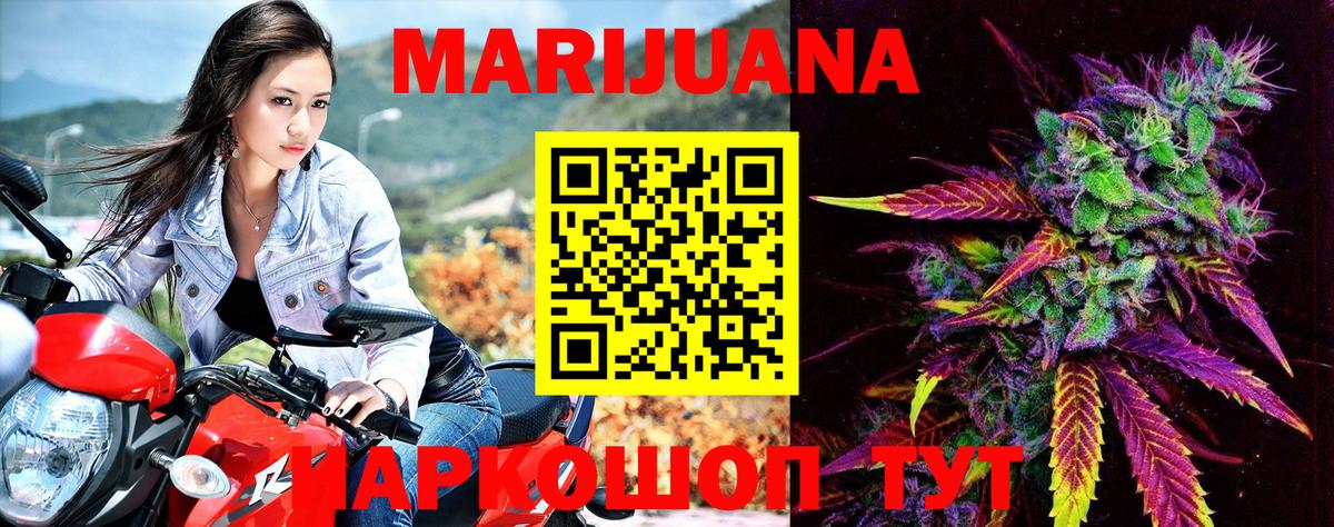Бошки Шишки план Осинники